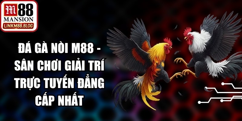 Đá Gà Nòi M88