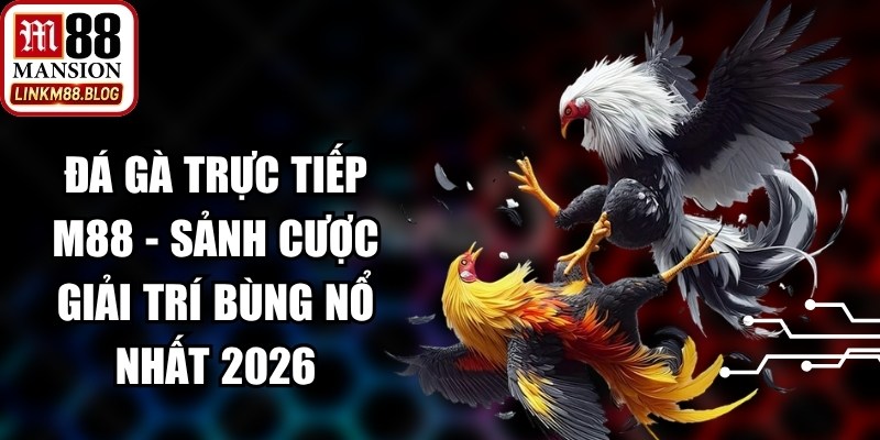 Đá Gà Trực Tiếp M88