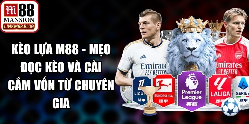 Kèo Lựa M88 - Mẹo Đọc Kèo Và Cài Cắm Vốn Từ Chuyên Gia 11 Kèo Lựa M88