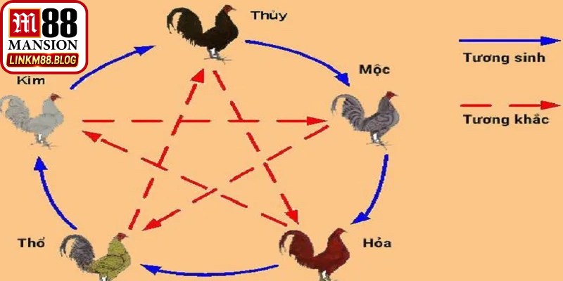 Màu gà mạng M88 giúp người chơi chọn đúng chiến kê tăng tỷ lệ thắng