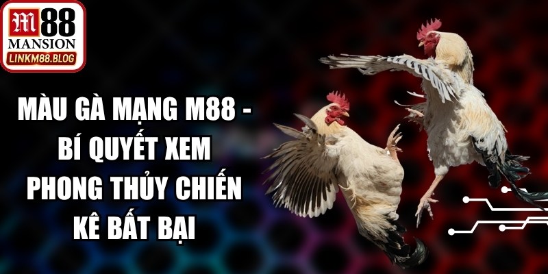 Màu Gà Mạng M88